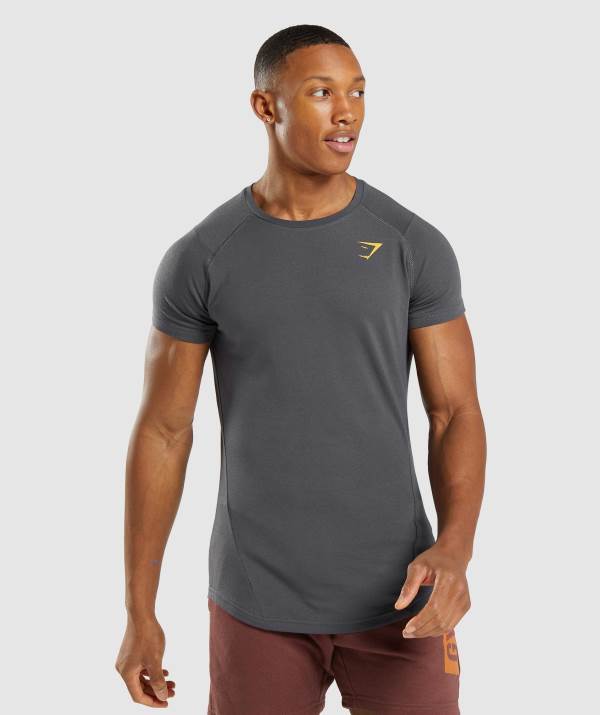 Panske Tricka Gymshark Bold Čierne Siva | ZC2786540